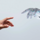 AI Won’t Replace Recruiters